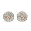 Rose Gold Sand Dollar Earrings with Aqua Crystals