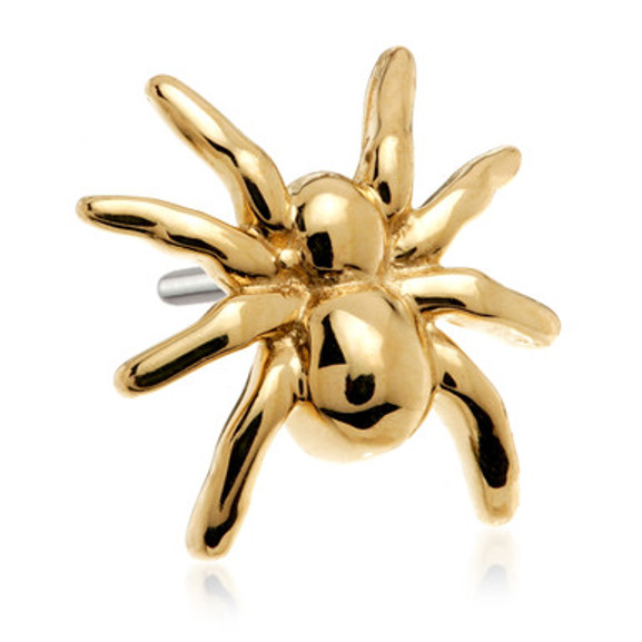 TL Golden Widow - 14ct Gold Threadless Attachment