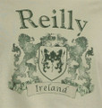 Vintage Coat of Arms Tee Shirt in Mist Green | Irish Rose Gifts
