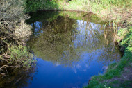 The Shannons of Ireland: Storytellers or Mermaids?