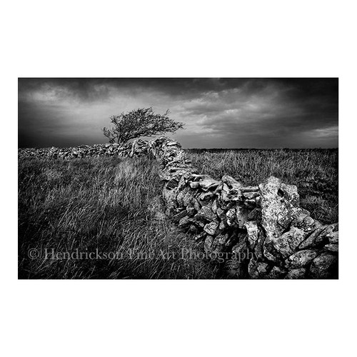 Iconic Irish Stone Wall - Limited Edition Fine Art Photo Print The Irish Rose Gifts