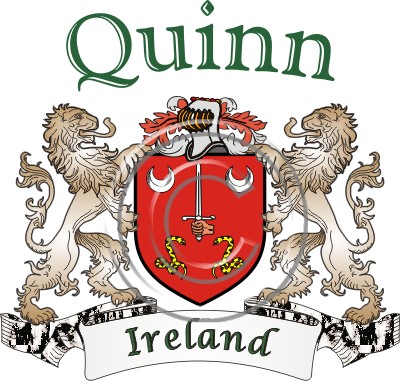 Quinn Name Meaning & Origin