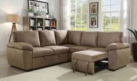 The Alka Sectional w/Pull Out Sleeper