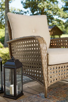 The Braylee Lounge Chair with Cushion (Set of 2)