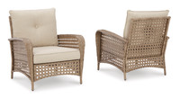 The Braylee Lounge Chair with Cushion (Set of 2)