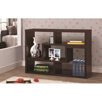 The Convertible TV Console and Bookcase Combination 