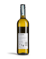 Pinot Grigio IL Casone