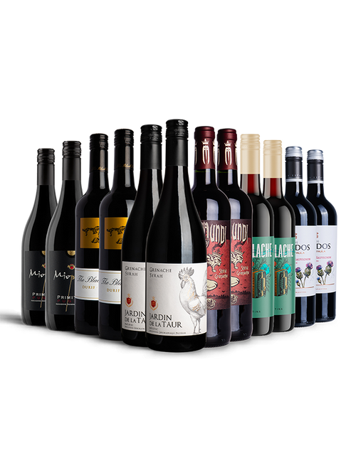 Big Bold Red Favourites Selection