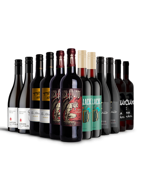 Big Bold Red Favourites Selection