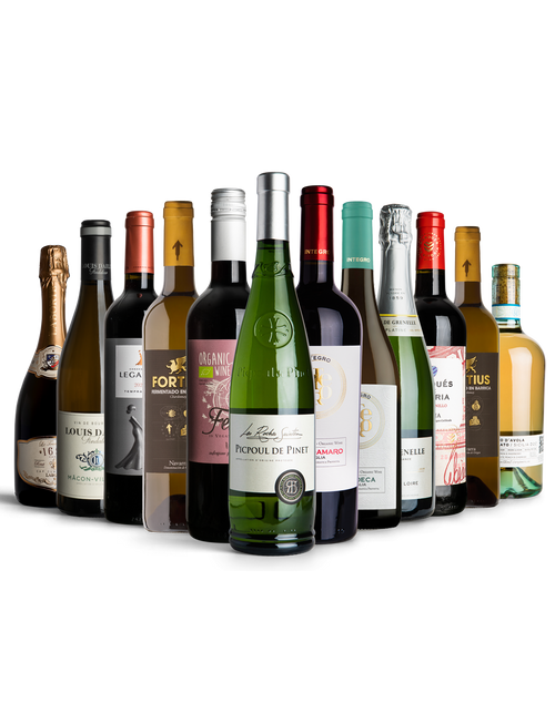 The Vine Selection by olive