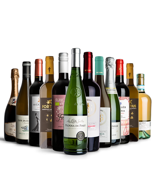 The Vine Selection by olive