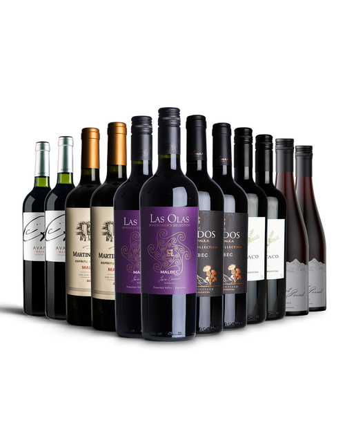The Argentinian Malbec Selection