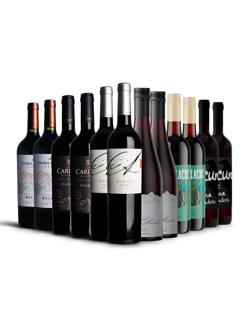 The Argentinian Malbec Selection