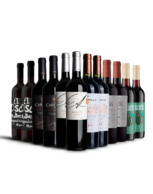 The Argentinian Malbec Selection
