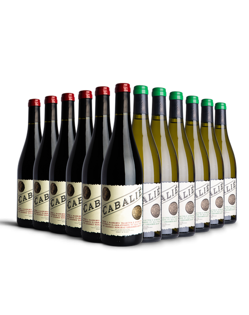 Cabalié Mixed Selection – 6 Red & 6 White Bottles | Cabalié Wine Case with Cabalié Red & Cabalié White Wine