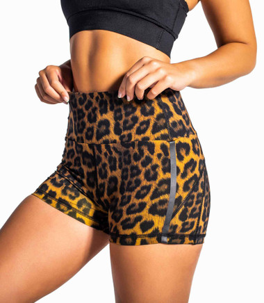 CJW2007-Multiverse-Cheetah-