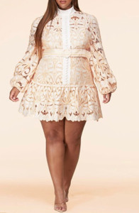 Plus Size Crochet & Lace Mini Dress
