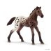 Schleich Appaloosa Foal (13862)
