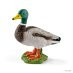 Schleich Drake (13824)