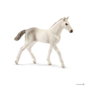 Schleich Holsteiner Foal (13860)