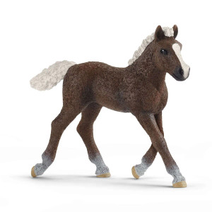 Schleich Black Forest Foal (13899)