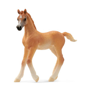 Schleich Arabian Foal ( 13984)