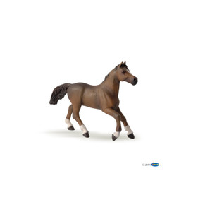 Papo Anglo-Arab Mare (51075)