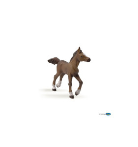 Papo Anglo-Arab Foal (51076)