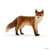 Schleich Fox (14782)
