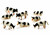Kids Globe 1:87 Mini 8 Pack Cows (1878)