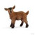 Schleich Goat Kid (13829)