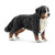 Schleich Bernese Mountain Dog, Female (16397)