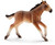 Schleich Mustang Foal (13807)
