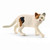 Schleich American Shorthair Cat (13894)