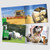 Tractor Ted Picture Book 'A Summer's Day'