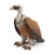 Schleich Vulture (14847)