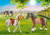 Playmobil Country Pony Set (70683)