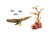 Wiltopia- Eagle (71059)