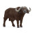 Schleich African Buffalo (14872)