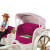 Schleich Wedding Carriage (42641)