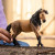 Schleich Andalusian Mare (14894)