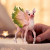 Schleich Magical Fawn (70821)
