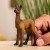 Schleich Llama Foal (14890)