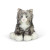 Animigos Grey Fluffy Cat (38604)