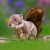 Animigos Grey Squirrel (37258)