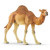 Schleich Camel (14832)