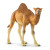 Schleich Camel (14832)