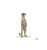 Papo Standing Meerkat (50206)