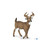 Papo White Tailed Deer (53021)