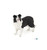 Papo Border Collie (54008)
